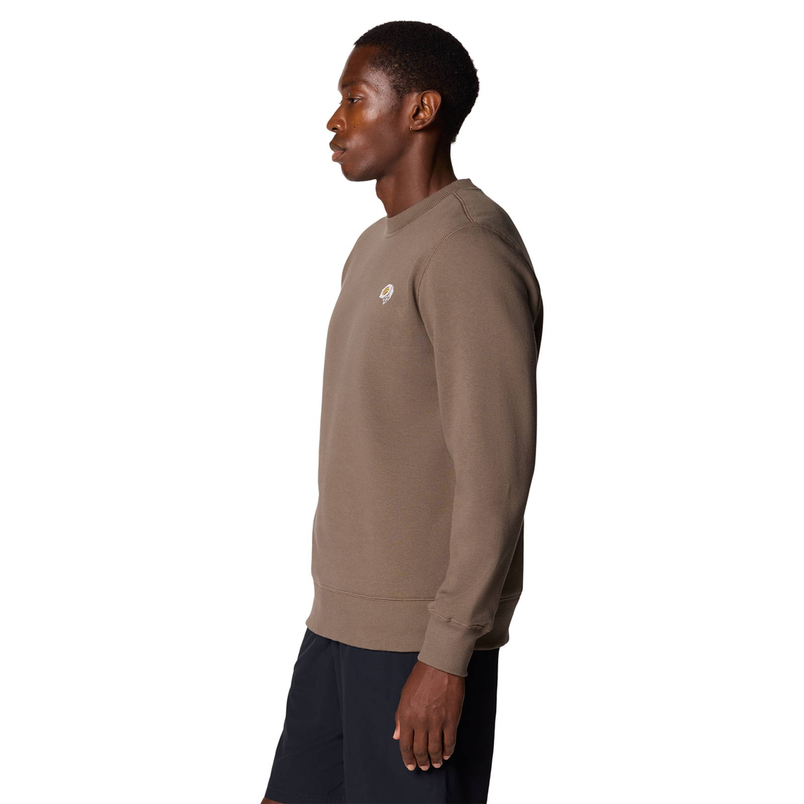 Mountain Hardwear M MHW Logo Pullover Crew in
