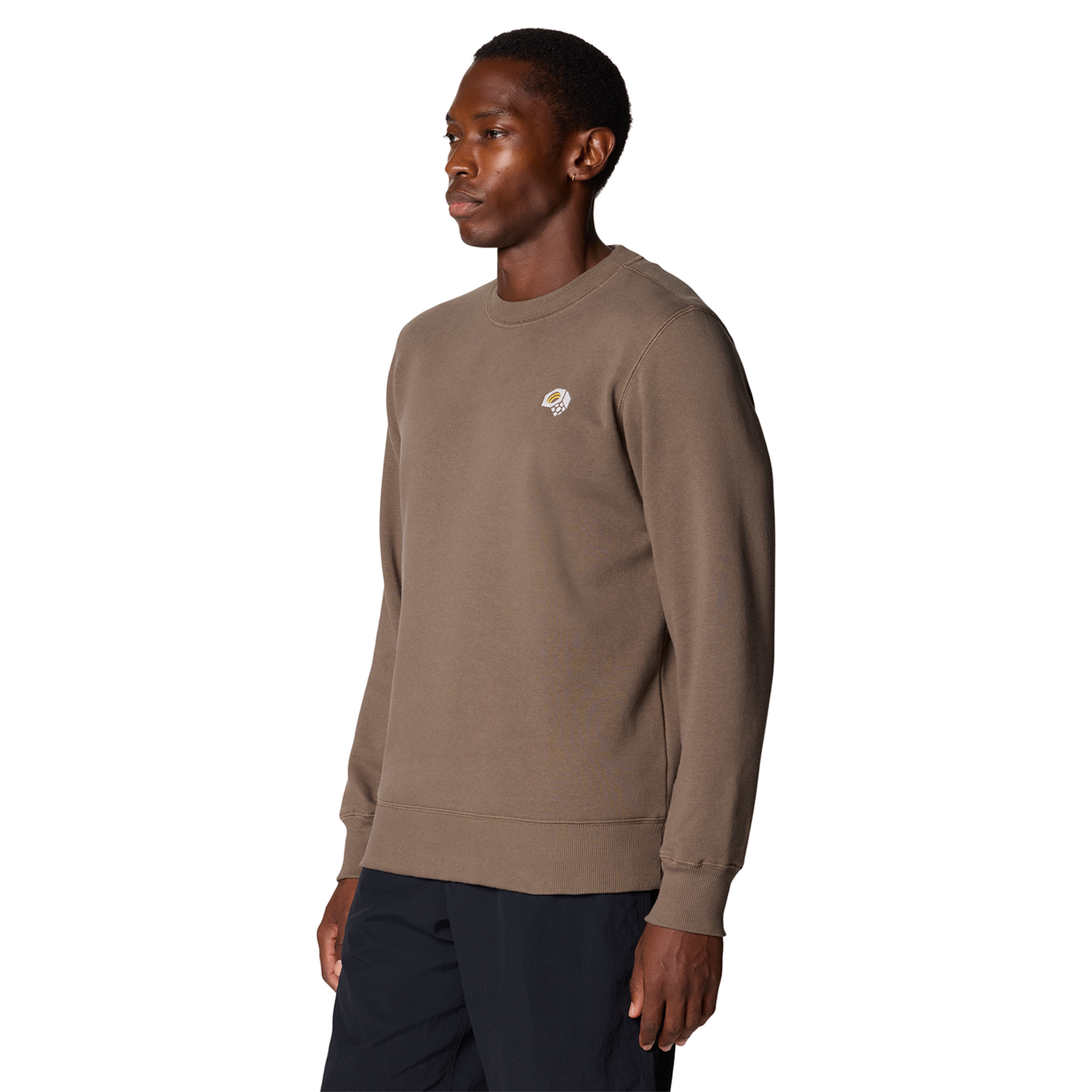 Mountain Hardwear M MHW Logo Pullover Crew in